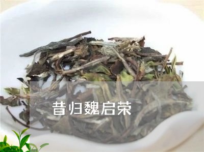 昔归魏启荣/2023121945041