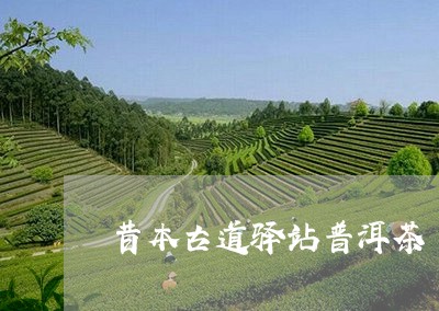 昔本古道驿站普洱茶/2023120544148