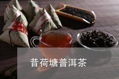 昔荷塘普洱茶/2023091382704