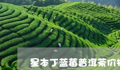 星本丁蓝莓普洱茶价格/2023062423048