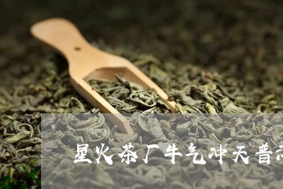 星火茶厂牛气冲天普洱茶/2023122025028