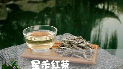 星禾红茶/2023110955359