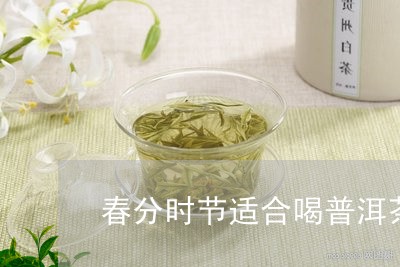 春分时节适合喝普洱茶嘛/2023082985379