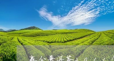 春分普洱茶2011年/2023062828259