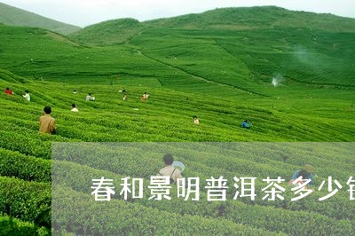 春和景明普洱茶多少钱/2023120625271