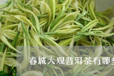 春城大观普洱茶有哪些/2023080292648