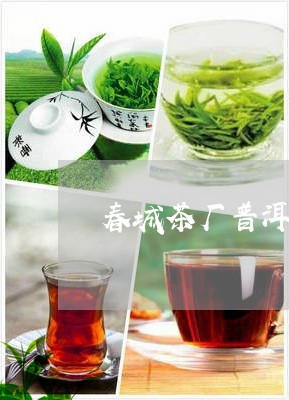 春城茶厂普洱茶圆茶/2023070985141