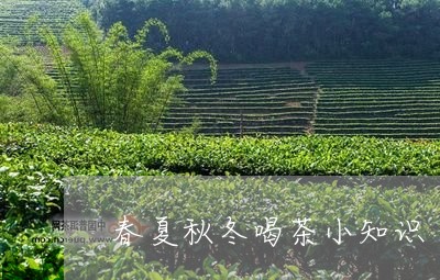 春夏秋冬喝茶小知识/2023042204938