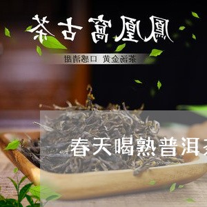 春天喝熟普洱茶上火吗/2023073187370