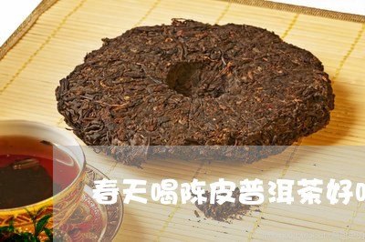 春天喝陈皮普洱茶好吗/2023080350494