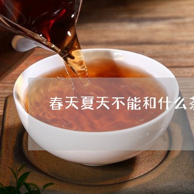 春天夏天不能和什么茶/2023071476049