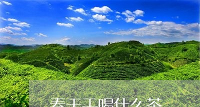 春天干喝什么茶/2023042107181