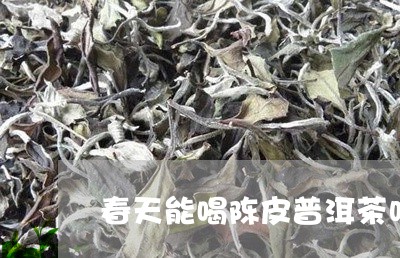 春天能喝陈皮普洱茶吗/2023093053059