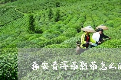 春安普洱茶熟茶怎么泡好喝/2023110662838