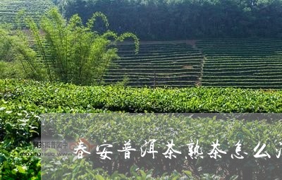 春安普洱茶熟茶怎么泡好喝/2023121612068