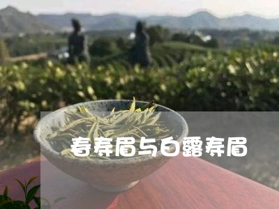 春寿眉与白露寿眉/2023062190380