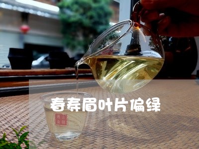 春寿眉叶片偏绿/2023060132836