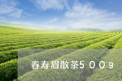 春寿眉散茶500g/2023120411603