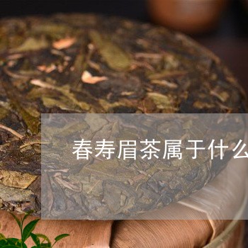 春寿眉茶属于什么茶/2023120414817