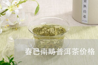 春已南畴普洱茶价格/2023091575147