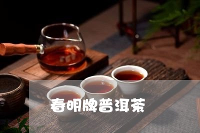 春明牌普洱茶/2023042733643