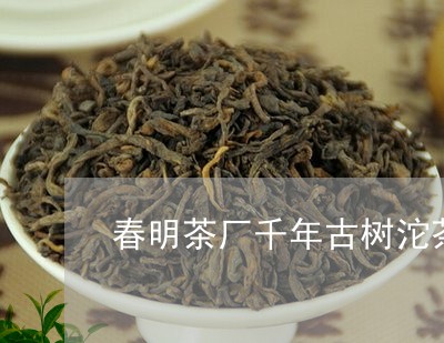 春明茶厂千年古树沱茶/2023092129591