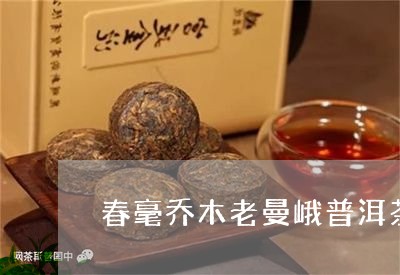 春毫乔木老曼峨普洱茶/2023092868714