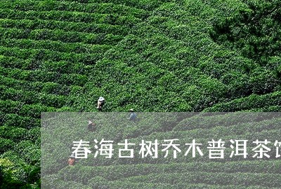 春海古树乔木普洱茶饼/2023072477160