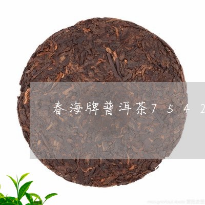 春海牌普洱茶7542/2023062513839