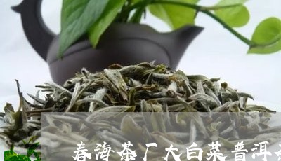 春海茶厂大白菜普洱茶/2023072259304