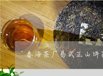 春海茶厂易武正山饼茶/2023092335047