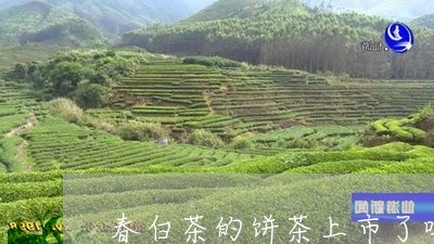 春白茶的饼茶上市了吗/2023100202714