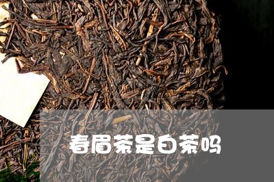 春眉茶是白茶吗/2023060161926