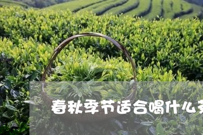 春秋季节适合喝什么茶/2023071475948