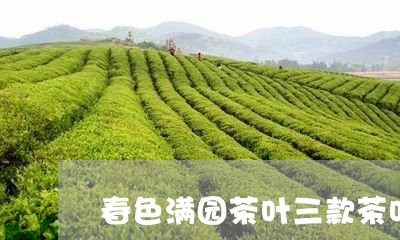 春色满园茶叶三款茶叶叫什么/2023052692938