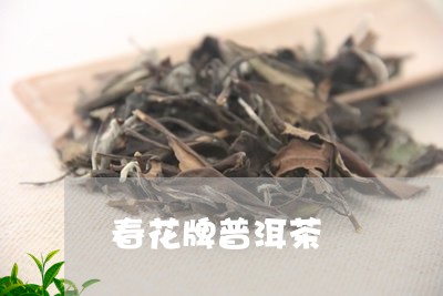 春花牌普洱茶/2023042640129