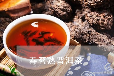 春茗熟普洱茶/2023081884938