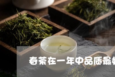 春茶在一年中品质最好/2023092163815