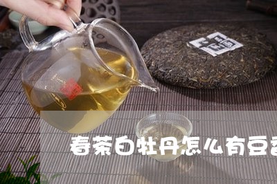 春茶白牡丹怎么有豆香味/2023092339471