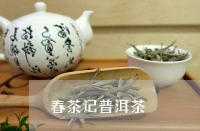 春茶记普洱茶/2023042679663