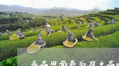 春茶里面最为有名茶叶有哪种/2023052642370