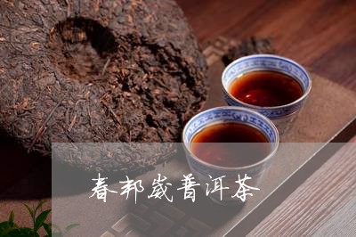 春邦崴普洱茶/2023042581124