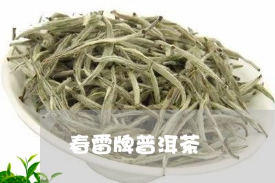 春雷牌普洱茶/2023042739858