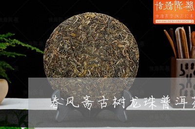 春风斋古树龙珠普洱茶/2023072451514