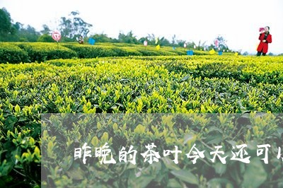 昨晚的茶叶今天还可以用来泡茶吗/2023060240403