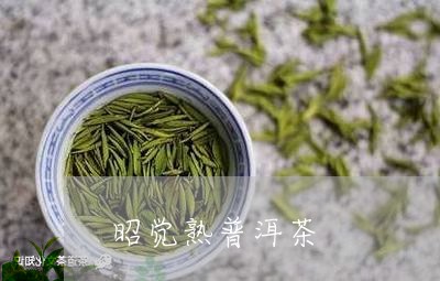 昭觉熟普洱茶/2023042735402