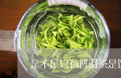 是不是只有普洱茶是饼茶/2023101702796