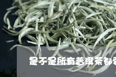 是不是所有普洱茶都要醒茶/2023082537271