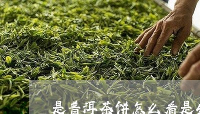 是普洱茶饼怎么看是生茶还是熟茶/2023082890806