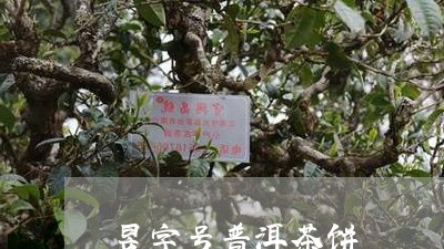 昱字号普洱茶饼/2023102647959